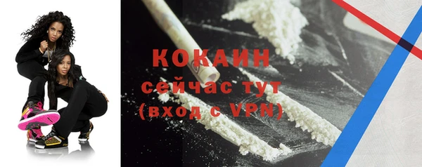 дживик Гусев