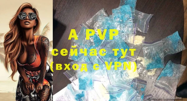 соль ск Гусиноозёрск